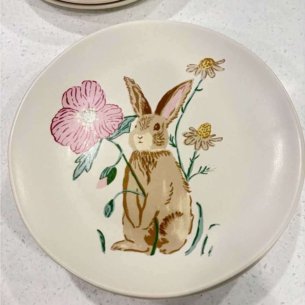 NWT Set of 6 Stoneware Bunny Floral 8” Salad / Luncheon Plates Ivory and Pastel